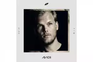 Avicii - Excuse Me Mr Sir (feat. Vargas & Lagola)